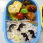 5月25日　イルカショー弁当