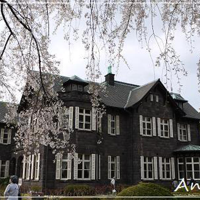 ☆旧古河庭園＆六義園☆