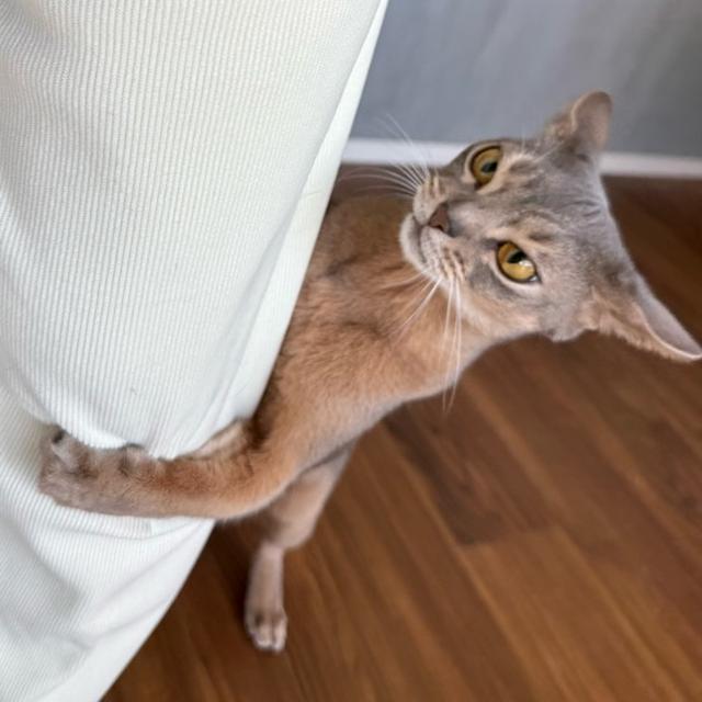 わか坊の、強引な遊びの誘い