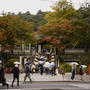 修禅寺にお参り。