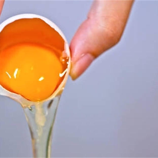 卵の泡立て研究！卵白、卵黄の泡立て方 編