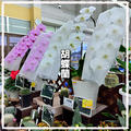幸福が根付く花