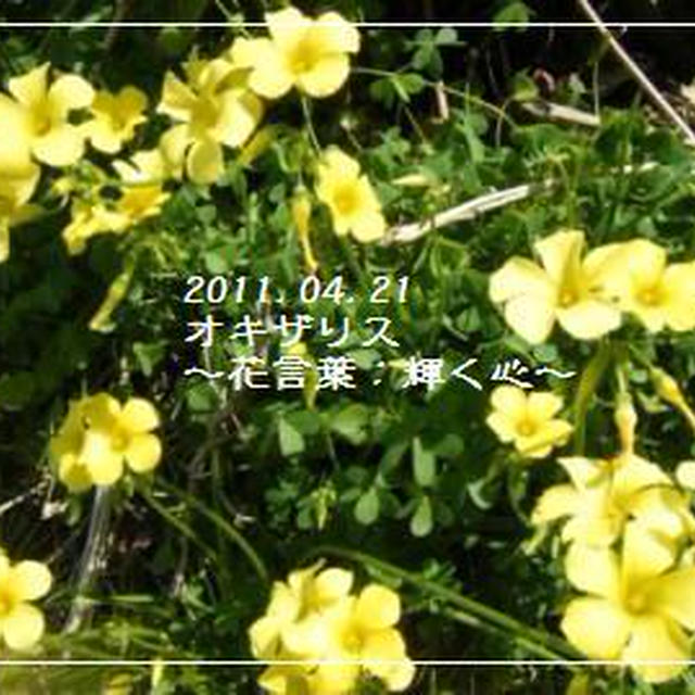 【記録】粗略すぎる。。。