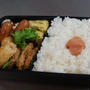 ヒレカツ弁当