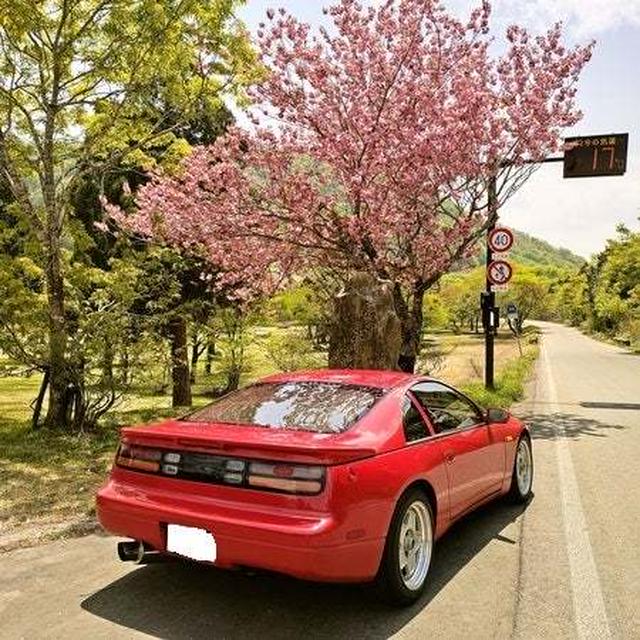 この時季に見れるはずのない風景！