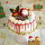 * 苺のクリスマスケーキ♪