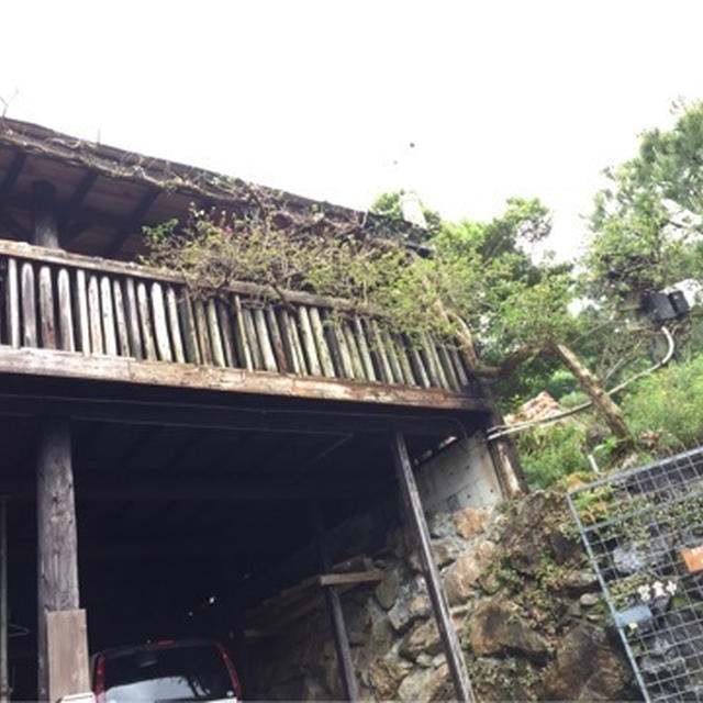沖縄2日目②