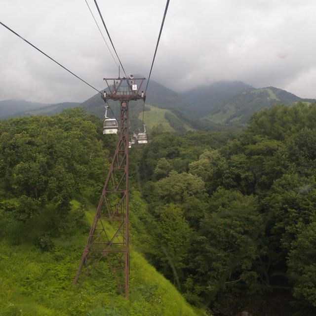 長野旅行記①～栂池自然園～