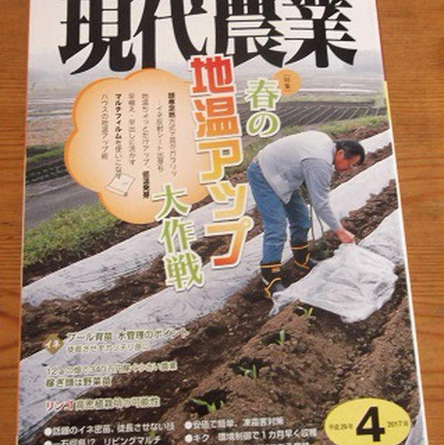 レシピ連載中！【現代農業4月号】のテーマは　朝ごはん♪