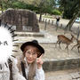 東大寺のMISIAのライブへ行ってきました【50代夫婦の奈良プチ旅行】