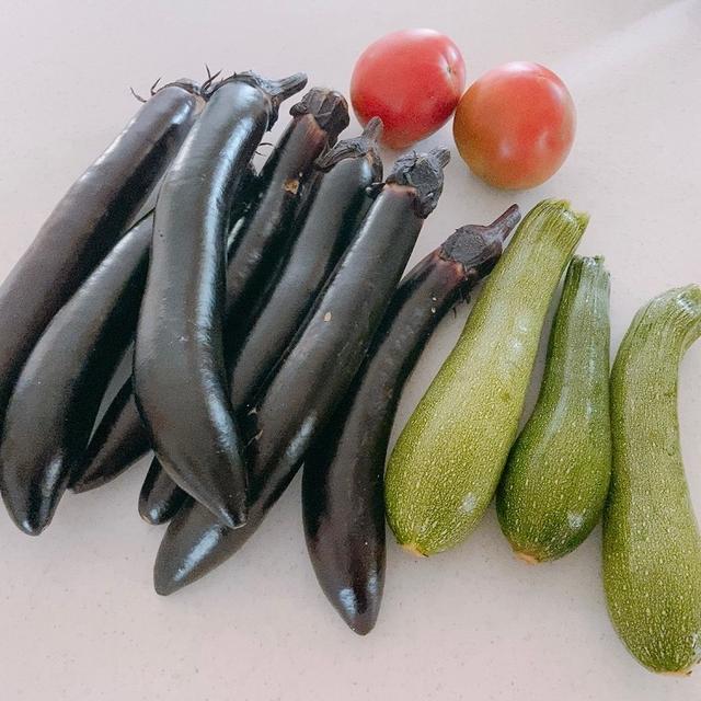 夏野菜❤︎イチオシ茄子とピーマンレシピ＊好きな冷奴トッピング