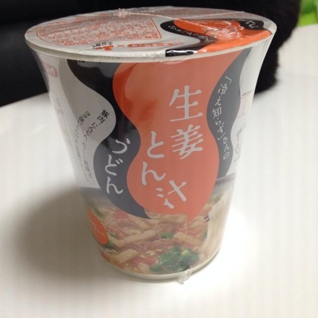 生姜とん汁うどん