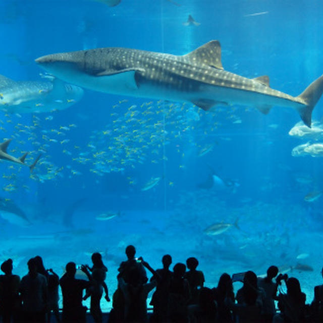 夏の終わりの沖縄ひとり旅３