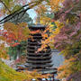 談山神社★紅葉デート