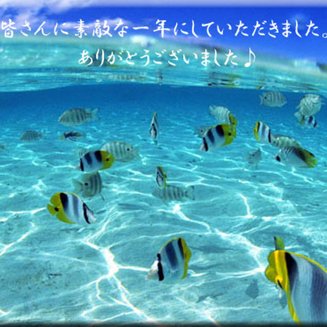 ありがとうございました。の一年でした♪