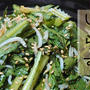 春菊としらすの和風サラダ の作り方(レシピ) シャキシャキな食感がたまらない生春菊のサラダ