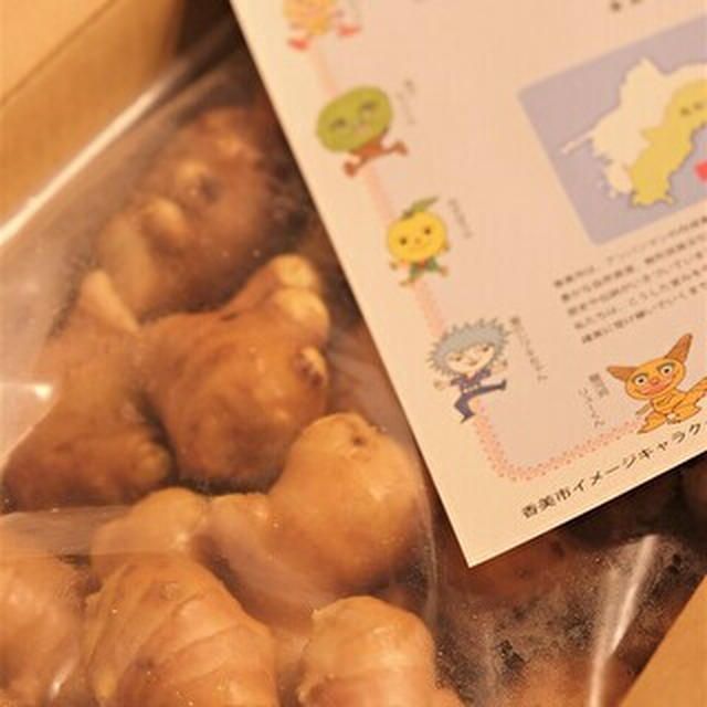 ふるさと納税　しょうが