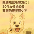 薬膳惣菜を味方に！50代から始める薬膳的更年期ケア
