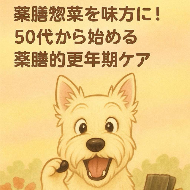 薬膳惣菜を味方に！50代から始める薬膳的更年期ケア