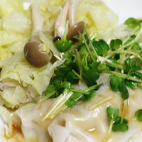 水餃子にリケン「じんわり生姜」