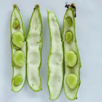 手の込んだ料理じゃないとダメ?【子どもの食育】
