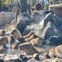 伊豆シャボテン動物公園