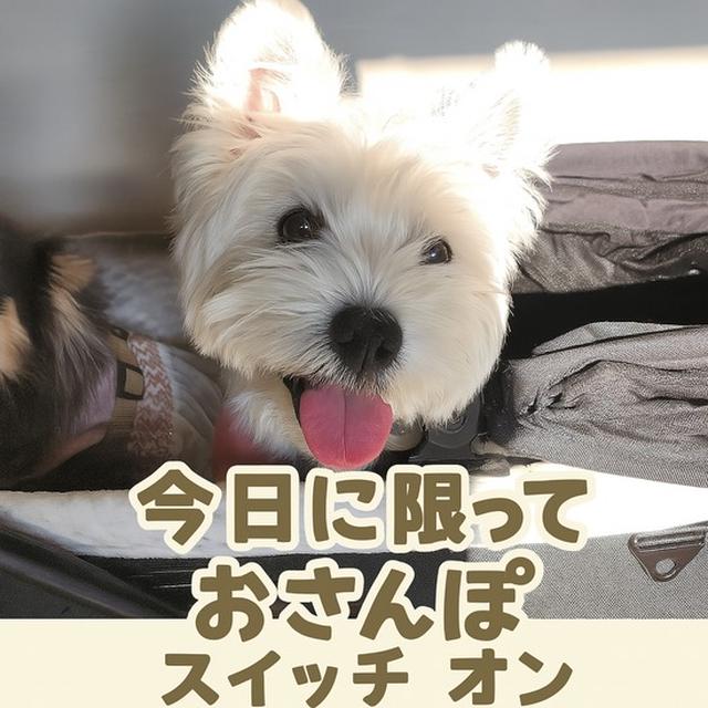裏切れないよねぇ