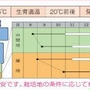 菜の花の育て方☆種まきの時期とコツ