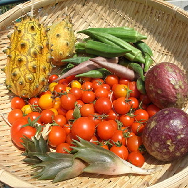 週末屋上収穫野菜☆8月下旬＊パッションフルーツＶＳキワーノ 