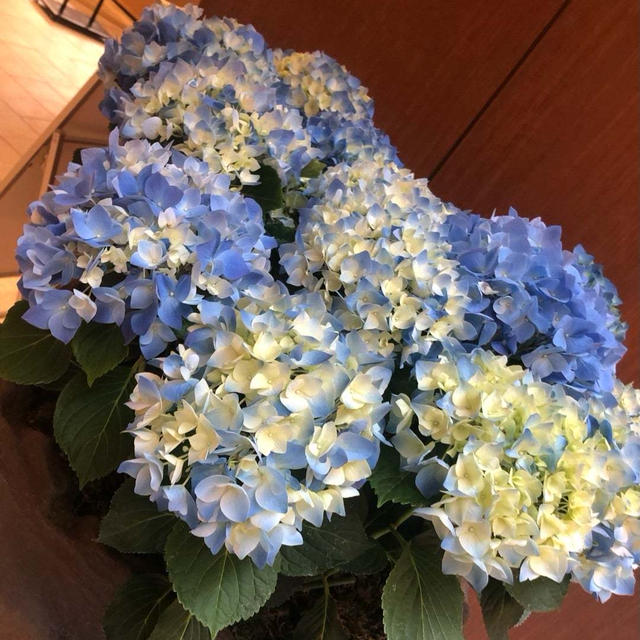 【プチプラ美容】乾燥や保湿ケアに❤️人気スキンケア