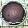 ¿ギリシアヨーグルトで?♥チーズケーキ♡チョコ味(=^・^=)♪