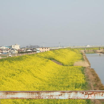 春の匂い