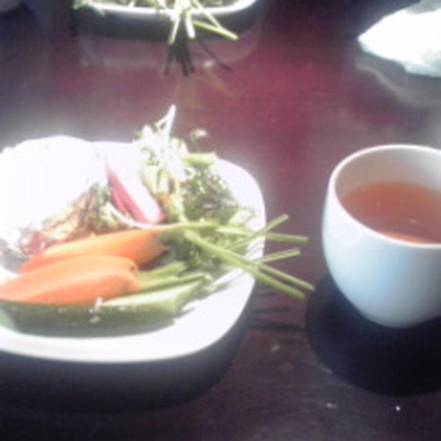 多摩プラ＆センター北vol.2 yasaiya NAE、Natural and Harmonic