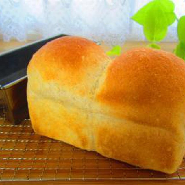全粒粉のﾐﾆ食ﾊﾟﾝ♪ｶﾎﾞﾁｬｻﾗﾀﾞｻﾝﾄﾞ♪ﾄﾞﾗｲﾏﾝｺﾞｰとｸﾙﾐの全粒粉ﾊﾟﾝ