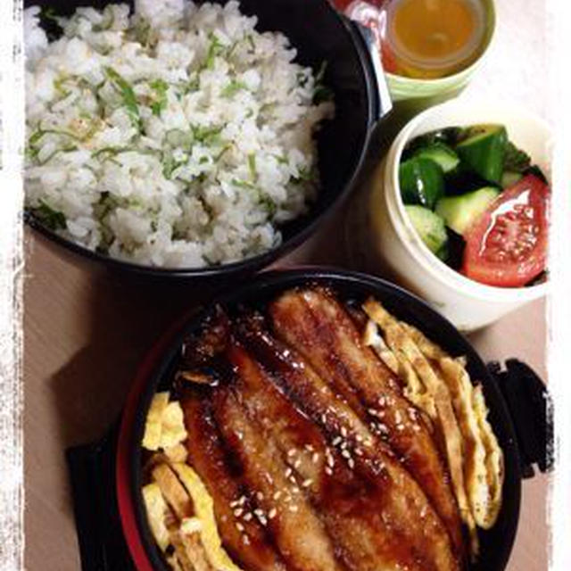 いわしの蒲焼丼弁当