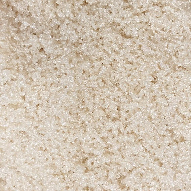 【木を見て森を見ず】