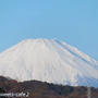 新年の富士山と可憐な水仙