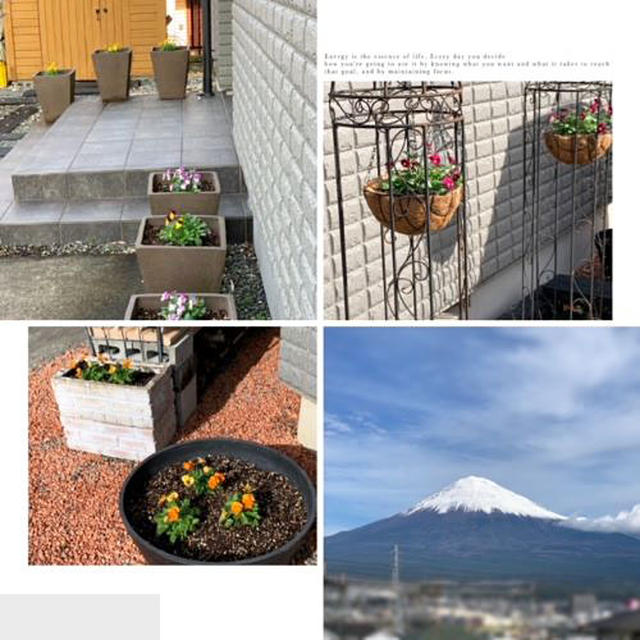 自宅ウッドデッキからの雪景色の富士山～ビオラの植え替え完了です!!