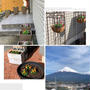 自宅ウッドデッキからの雪景色の富士山～ビオラの植え替え完了です!!
