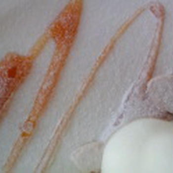 2010/12/20