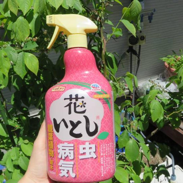 アースガーデン 花いとし