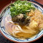 今年一杯目のうどんは「丸亀製麺」にて