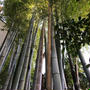 日本滞在日記（１１）キャンディーズ気分で長井海の手公園ソレイユの丘へ