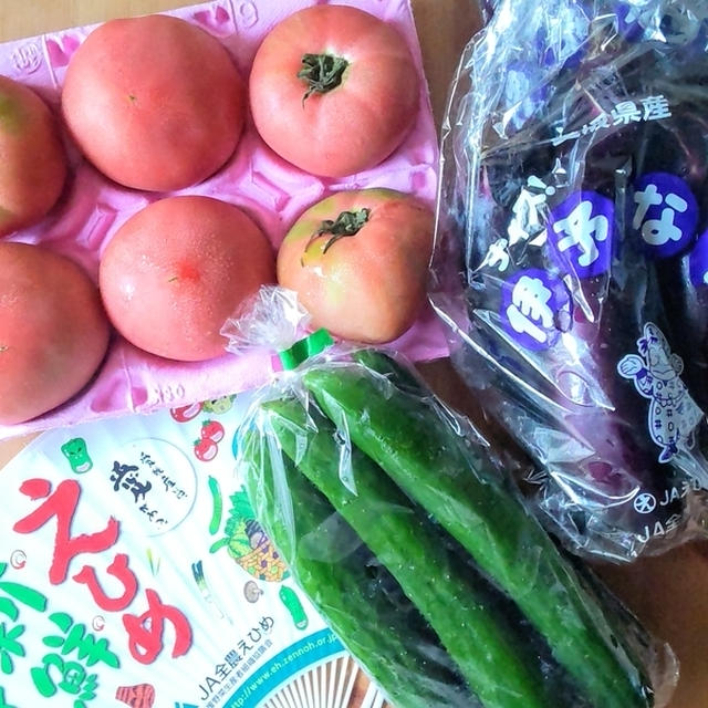 立派な野菜に感動！愛媛県産の夏野菜のモニタープレゼントが届きました。