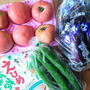 立派な野菜に感動！愛媛県産の夏野菜のモニタープレゼントが届きました。