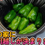 久しぶりに動画を作ってみたんですが作りかた忘れてました