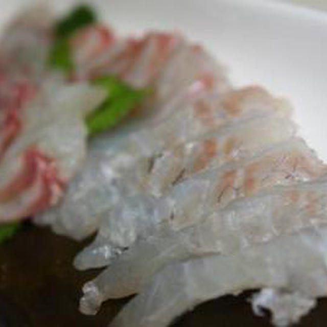 鯛の昆布〆