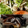 ゴボウとわさび菜のサラダ＆木耳の中華風炒め＆胡蝶蘭♪