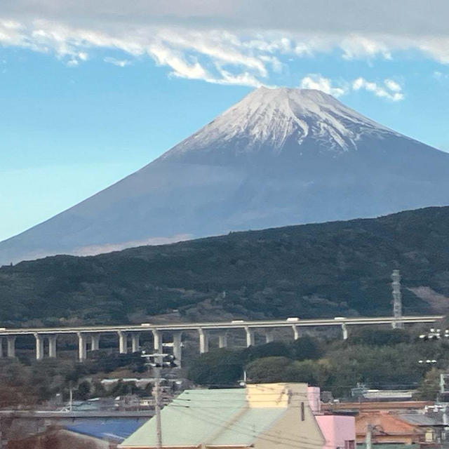 年明け早々発熱しまして