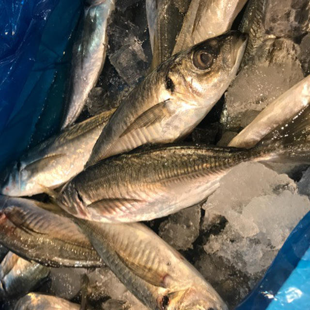 年内最後の料理教室